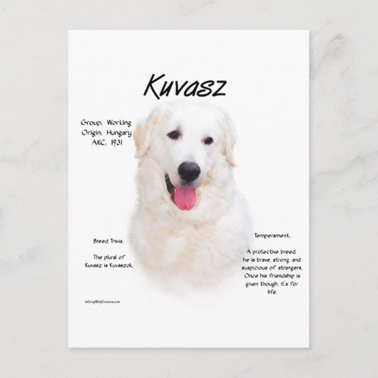 Kuvasz Geschiedenis Ontwerp Briefkaart (Voorkant)