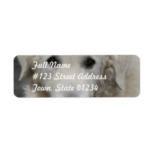 Kuvasz Hondenras Mailing Labels