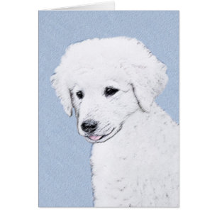 Kuvasz-schildering - Cute Original Dog Art