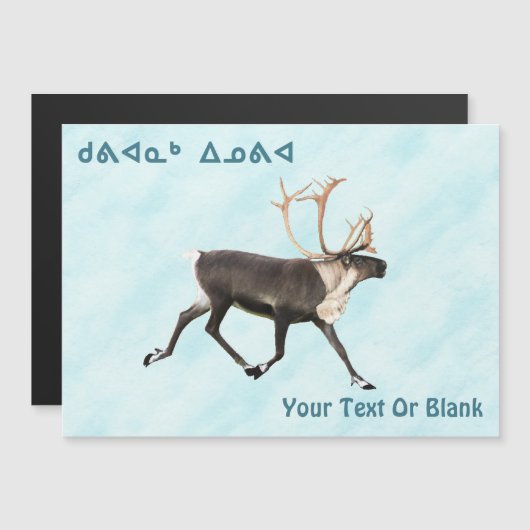 Kuvianak innovia - Cariou ( rendier ) op sneeuw (Voorkant / Achterkant)