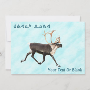 Kuvianak innovia - Cariou ( rendier ) op sneeuw