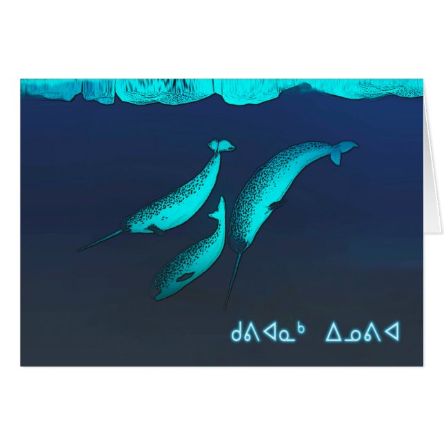 Kuvianak Innovia - Narwhal (Voorkant Horizontaal)