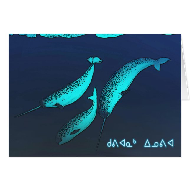 Kuvianak Innovia - Narwhal (Voorkant Horizontaal)