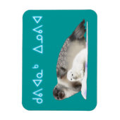 Kuvianak Innovia - Ringed zegel Magneet (Verticaal)