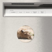 Kuwait Camel Magneet (Insitu (Vaatwasser))