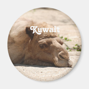 Kuwait Camel Magneet