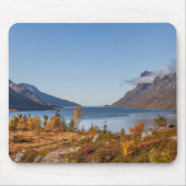 Kvaloya eiland Noorwegen Muismat (Voorkant)