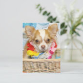 Kwaad - Long Hair Chihuahua -5 Briefkaart (Staand voorkant)