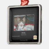 Kwaad Metalen Ornament (Links)