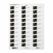 Kwaadaardige Koningin Etiket (Full Sheet)