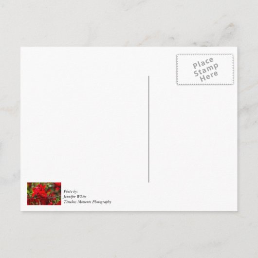 Kwaakappel-tak Schilderachtige Dankjewel-ansichtka Briefkaart (Achterkant)