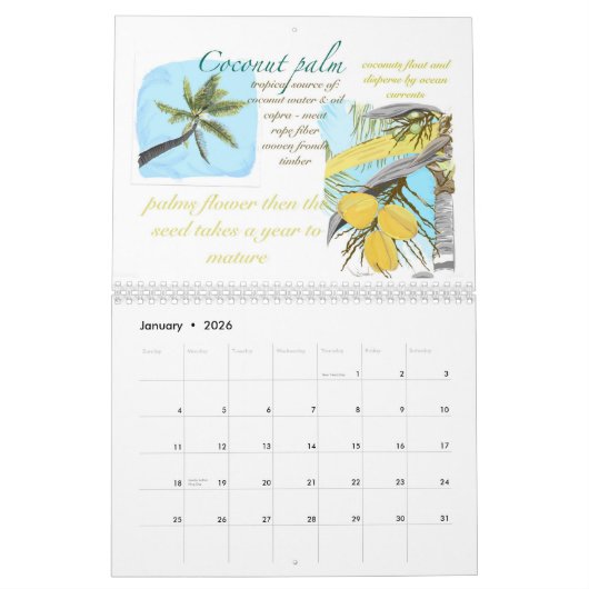 Kwaj Kalender 2025 (Jan 2026)