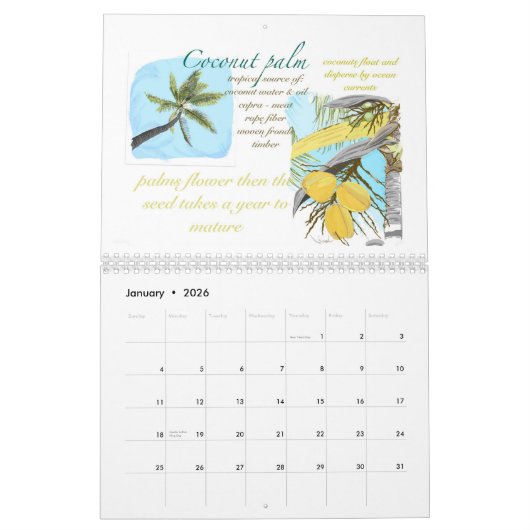 Kwaj Kalender 2026 (Jan 2026)