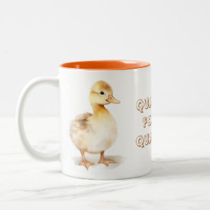Kwakjes voor mijn kwakjes tweekleurige koffiemok