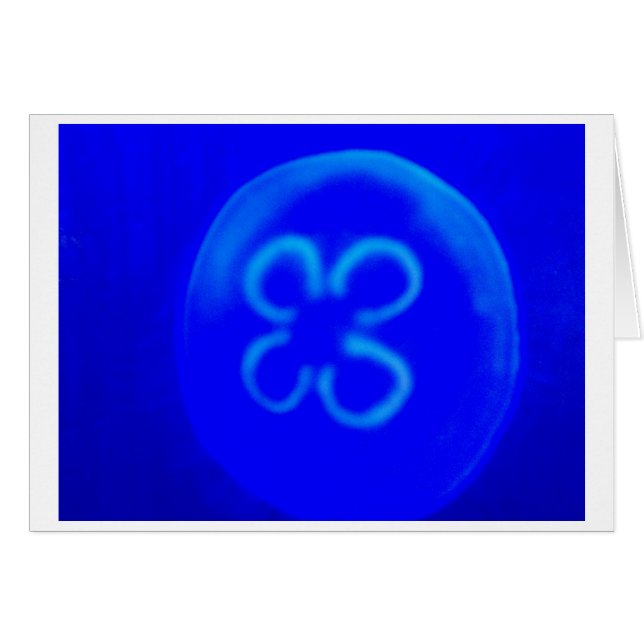 kwal (Voorkant Horizontaal)