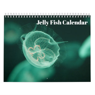 Kwal 2027 kalender