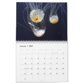 Kwal 2027 kalender (Jan 2027)
