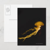kwal 2 briefkaart (Voorkant / Achterkant)