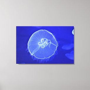 kwal 2 canvas afdruk