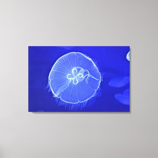 kwal 2 canvas afdruk (Voorkant)