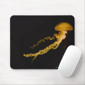 kwal 2 muismat (Met muis)