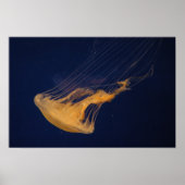 kwal 2 poster (Voorkant)