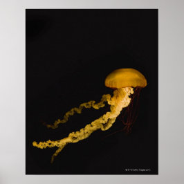 kwal 2 poster