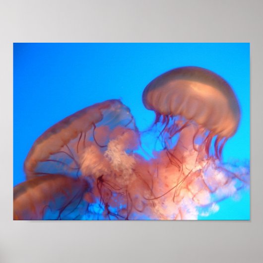 kwal 4 poster (Voorkant)