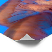 kwal 4 poster (Hoek)