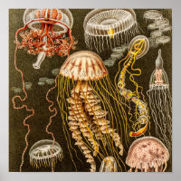  kwal Antiek Jelly Fish Sjabloon