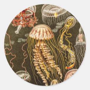  kwal Antiek Jelly Fish Sjabloon Ronde Sticker