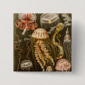  kwal Antiek Jelly Fish Sjabloon Vierkante Button 5,1 Cm (Voorkant)