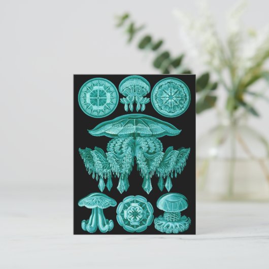 kwal briefkaart (Staand voorkant)