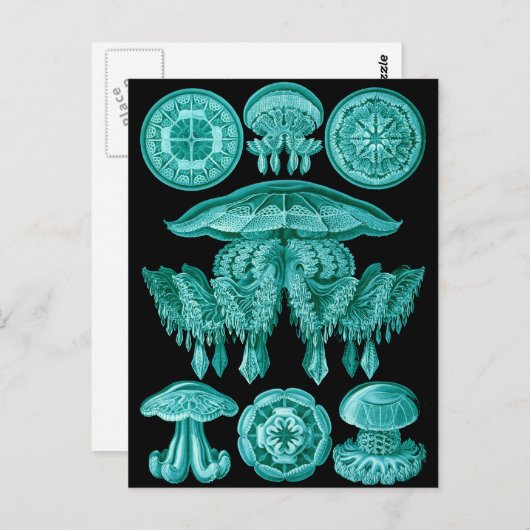 kwal briefkaart (Voorkant / Achterkant)