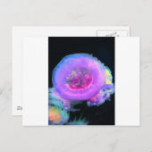 kwal briefkaart (Voorkant / Achterkant)