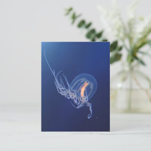 kwal briefkaart (Staand voorkant)