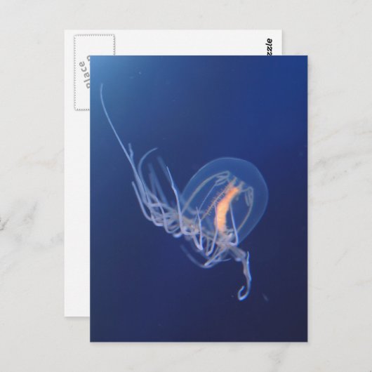 kwal briefkaart (Voorkant / Achterkant)