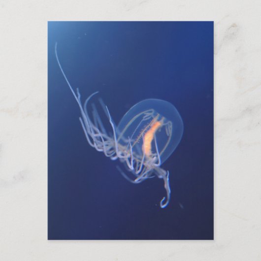 kwal briefkaart (Voorkant)