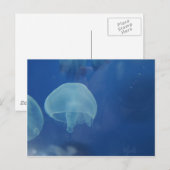 kwal briefkaart (Voorkant / Achterkant)