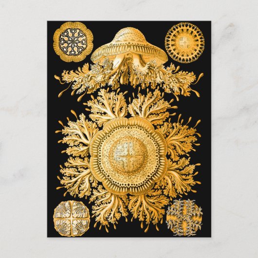 kwal briefkaart (Voorkant)