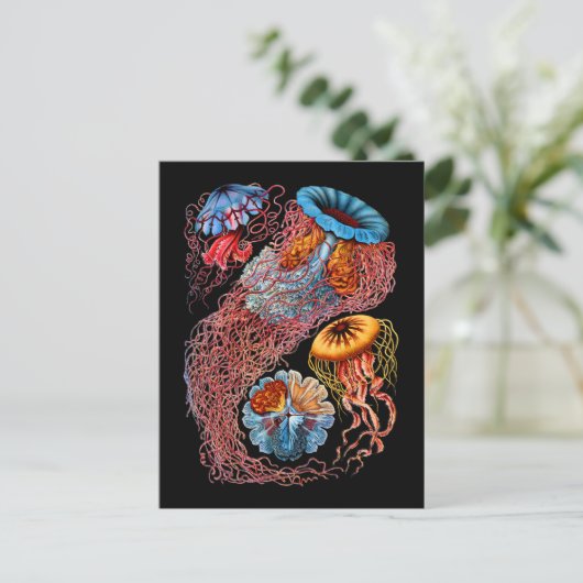 kwal briefkaart (Staand voorkant)