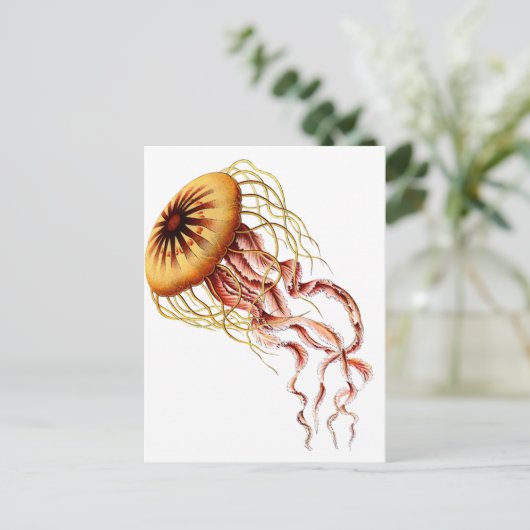 kwal briefkaart (Staand voorkant)