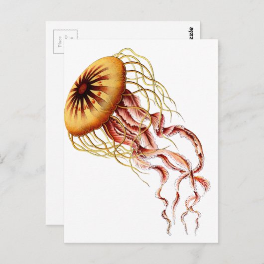 kwal briefkaart (Voorkant / Achterkant)