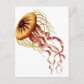 kwal briefkaart (Voorkant)