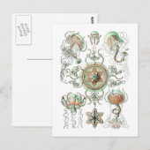 kwal briefkaart (Voorkant / Achterkant)