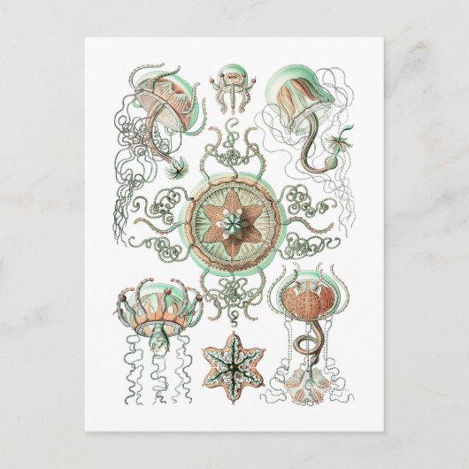 kwal briefkaart (Voorkant)