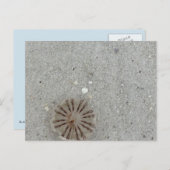 kwal briefkaart (Voorkant / Achterkant)