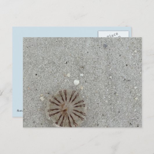 kwal briefkaart (Voorkant / Achterkant)