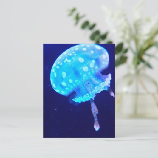 kwal briefkaart (Staand voorkant)