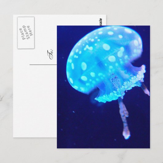 kwal briefkaart (Voorkant / Achterkant)